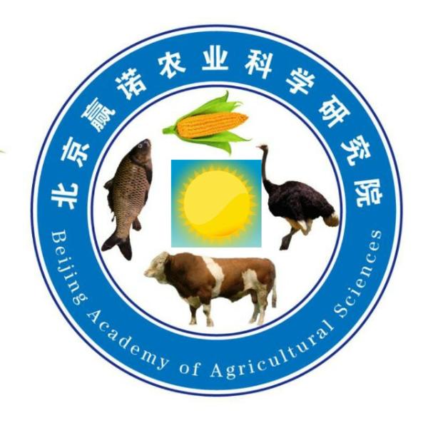 左文天
