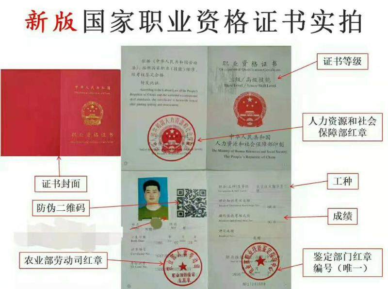12月15日全国招生（猪疾病治疗解剖化验与饲养管理学习）